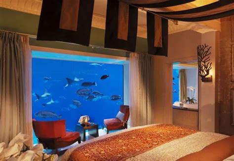 Ultimate Underwater Hotel Dubai Guide | CuddlyNest