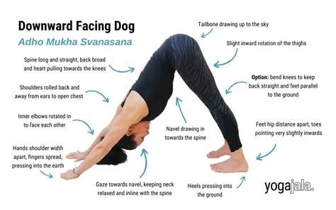 how to downward facing dog