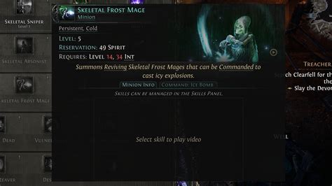 Best Path Of Exile 2 Witch Build Skills And Equipment