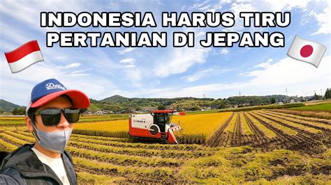 PANEN PADI DI JEPANG DENGAN TEKNOLOGI MODERN INDONESIA HARUS TIRU