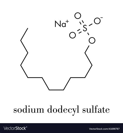 Sodium Dodecyl Sulfate Sds Lauryl Royalty Free Vector Image