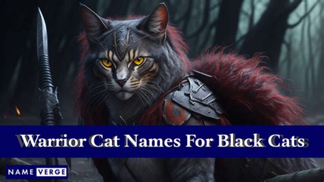 Warrior Cat Names 399 Cool Names For Your Warrior Cats