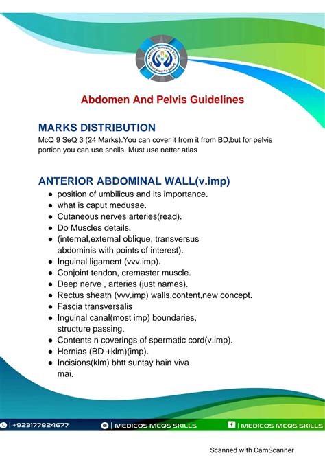 Solution Abdomen And Pelvis Guidelines Studypool