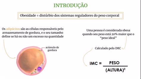 Obesidade Histologia E Embriologia Comparada YouTube