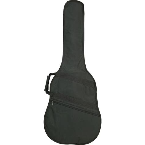 Acoustic Guitars With Gig Bags At Joshua May Blog