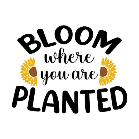 Premium Vector A Poster That Says Bloom Where You Are Planted On It