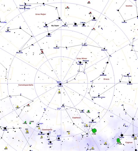 Circumpolar constellations – Constellation Guide