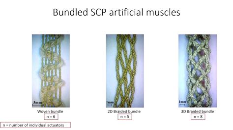 Bundled Super Coiled Polymer Artificial Muscles Design Characterization And Modeling Youtube