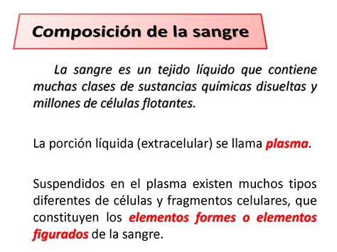 SOLUTION Clase 5 Sistema Hematol Gico Studypool