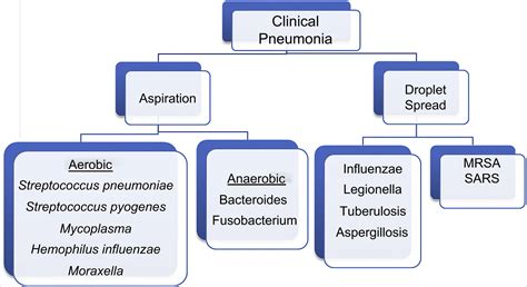 Pneumonia In Adults The Practical Emergency Department Perspective