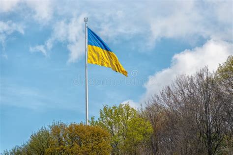 Ukrainian Flag Waving In The Wind Against The Sky Stock Image Image