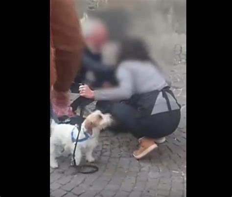 Donna Azzannata Da Un Cane Mentre Porta A Spasso Il Suo Cucciolo