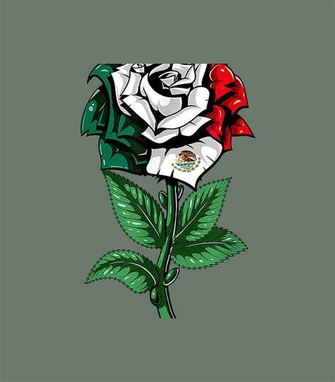 Mexico Flag Mexican Digital Art by Jeremy Haruna - Fine Art America