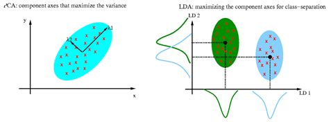 Stochastic Gradient Descent Vs Gradient Descent — Exploring The