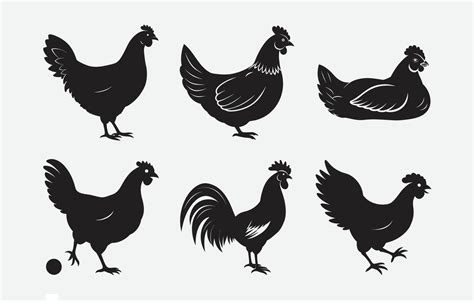 Print Ultimate Hen Silhouette Set High Quality Designs For Your