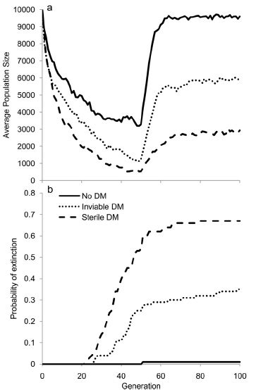 Complementary Sex Determination Synergistically Interacts With