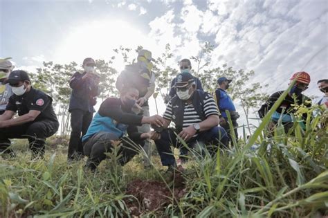 Gerakan Sejuta Pohon Se Dunia Jatim Canangkan Tanam Bibit Pohon