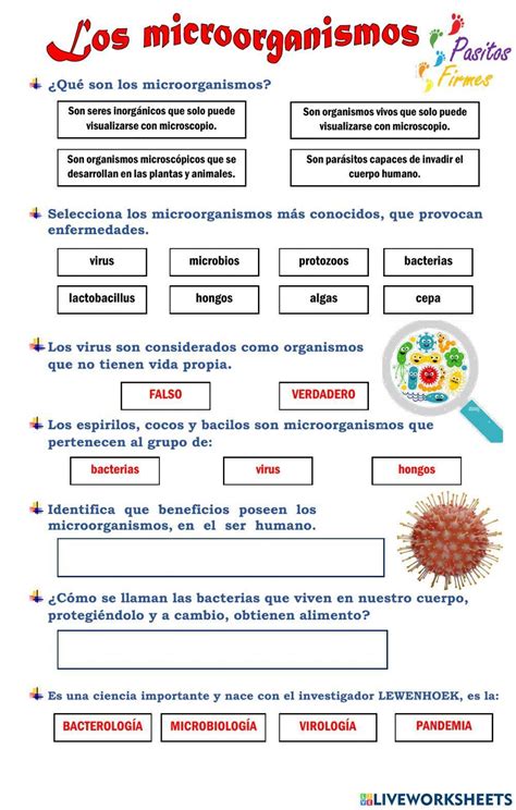 Microrganismos 4 Ano Atividades Fdplearn