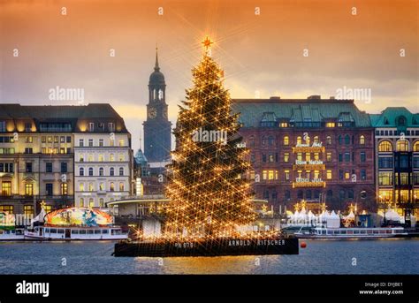 Alstertanne Auf Der Binnenalster In Hamburg Deutschland Europa Stock