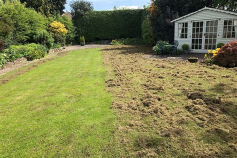 Professional Lawn Scarification Services Lawnkeeper