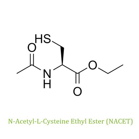 Supplier Of N Acetyl L Cysteine Ethyl Ester Henan Steeda