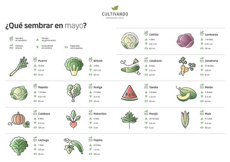 Calendarios De Siembra Cultivando Tienda Espacio Agroecol Gico