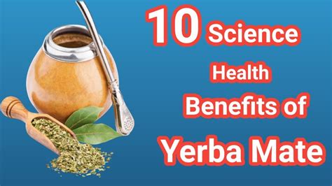 10 Science Backed Health Benefits Of Yerba Mate Sky World Health