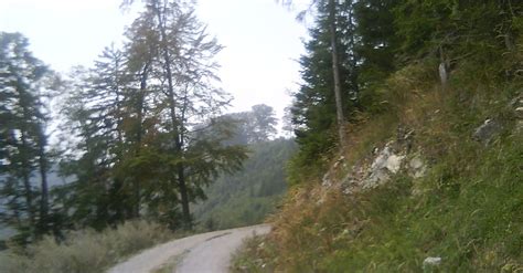 St Veit Gölsen Otto Kandler Hütte Hohenstein 1195m und zurück