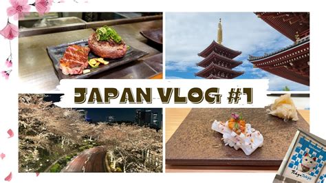 Japan Vlog Tokyo I Tsukiji Market Kiwamiya Hamburger Meiji