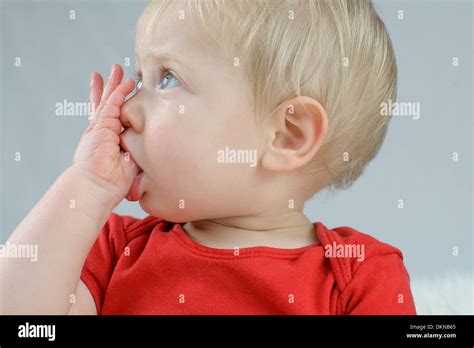 Enfant En Bas âge Suce Son Pouce Banque De Photographies Et Dimages à