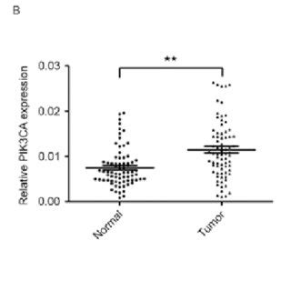 Inverse Correlation Between The Levels Of Mir Expression And Pik Ca