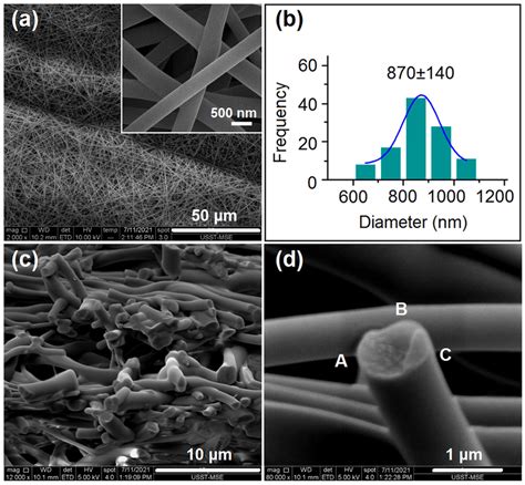 Morphologies Of The Prepared Tri Section Janus Nanohybrids A The