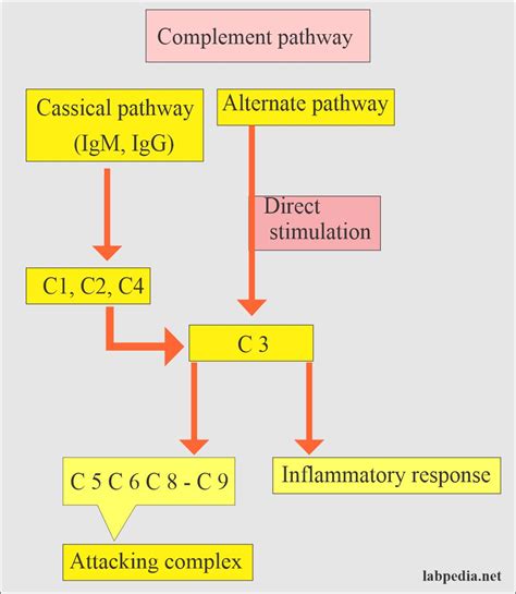 Complement C3 And C4 Acute Phase Protein