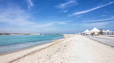 Information On Sir Bani Yas Island Abu Dhabi UAE