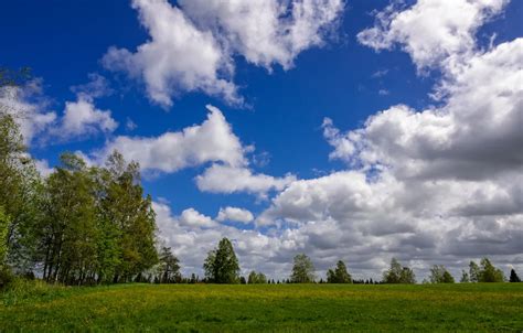 Wallpaper Greens Field Summer The Sky Clouds Trees Nature Green