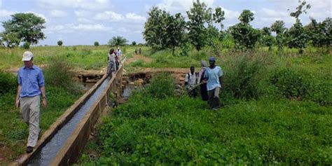 Feed The Future Innovation Lab For Small Scale Irrigation Archives