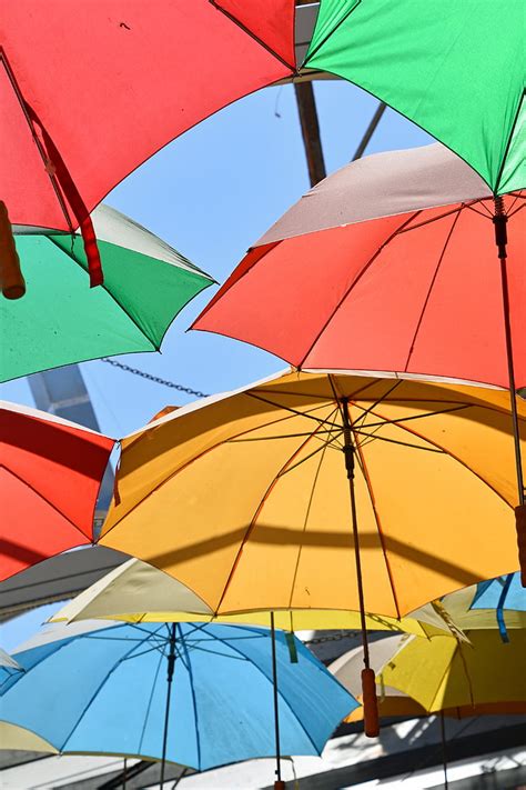 Royalty Free Photo Assorted Color Umbrellas PickPik