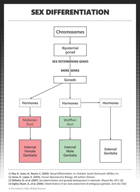 Intersex Chart