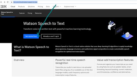 Watson Speech To Text - Audio - Robot Skills - Support - Synthiam