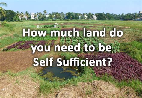 Self Sufficient Homesteading Self Sufficient Homesteading