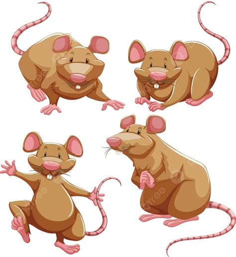 Rata Marrón En Diferentes Poses Ratas De Fondo Exóticas Vector PNG