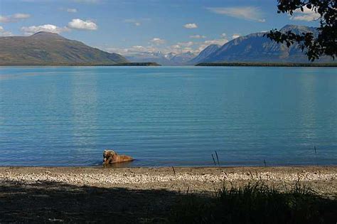 Naknek Lake - Wikiwand