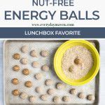 Nut Free Energy Balls Everydaymaven