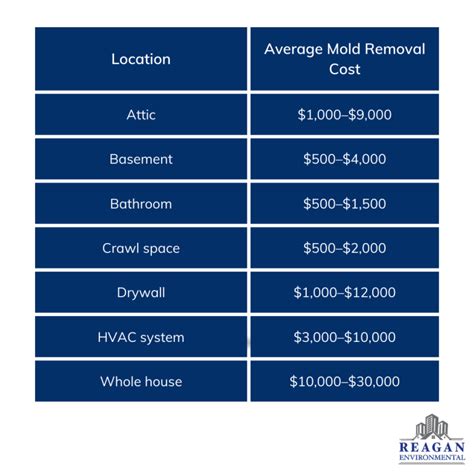 Average Mold Remediation Costs In Houston 2024