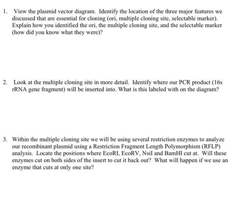 Solved 1. View the plasmid vector diagram. Identify the | Chegg.com