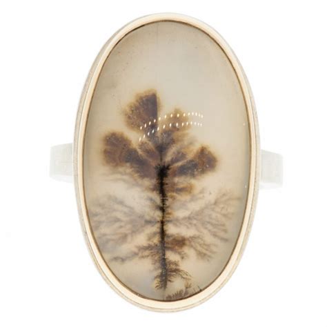 Oval Dendritic Agate Ring By Jamie Joseph Newtwist