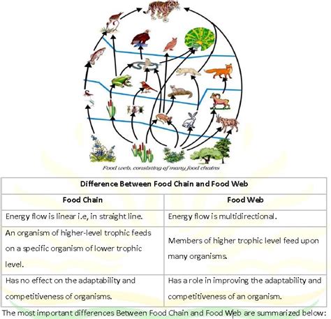 Cbse Class 10 Biology Our Environment Management Of Natural Resources