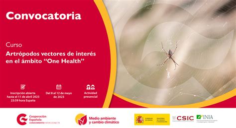 Intercoonecta Convoca A Curso Presencial Sobre Artr Podos Vectores De