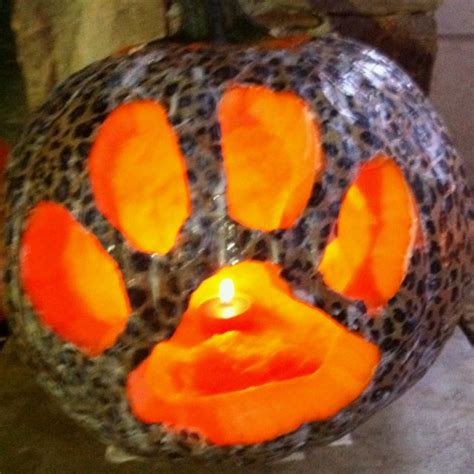 Halloween Pumpkinlots Of Tiny Paw Prints Carved Out All Over For The