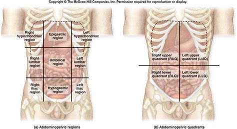 Abdominal Epigastric Region Pain After Eating